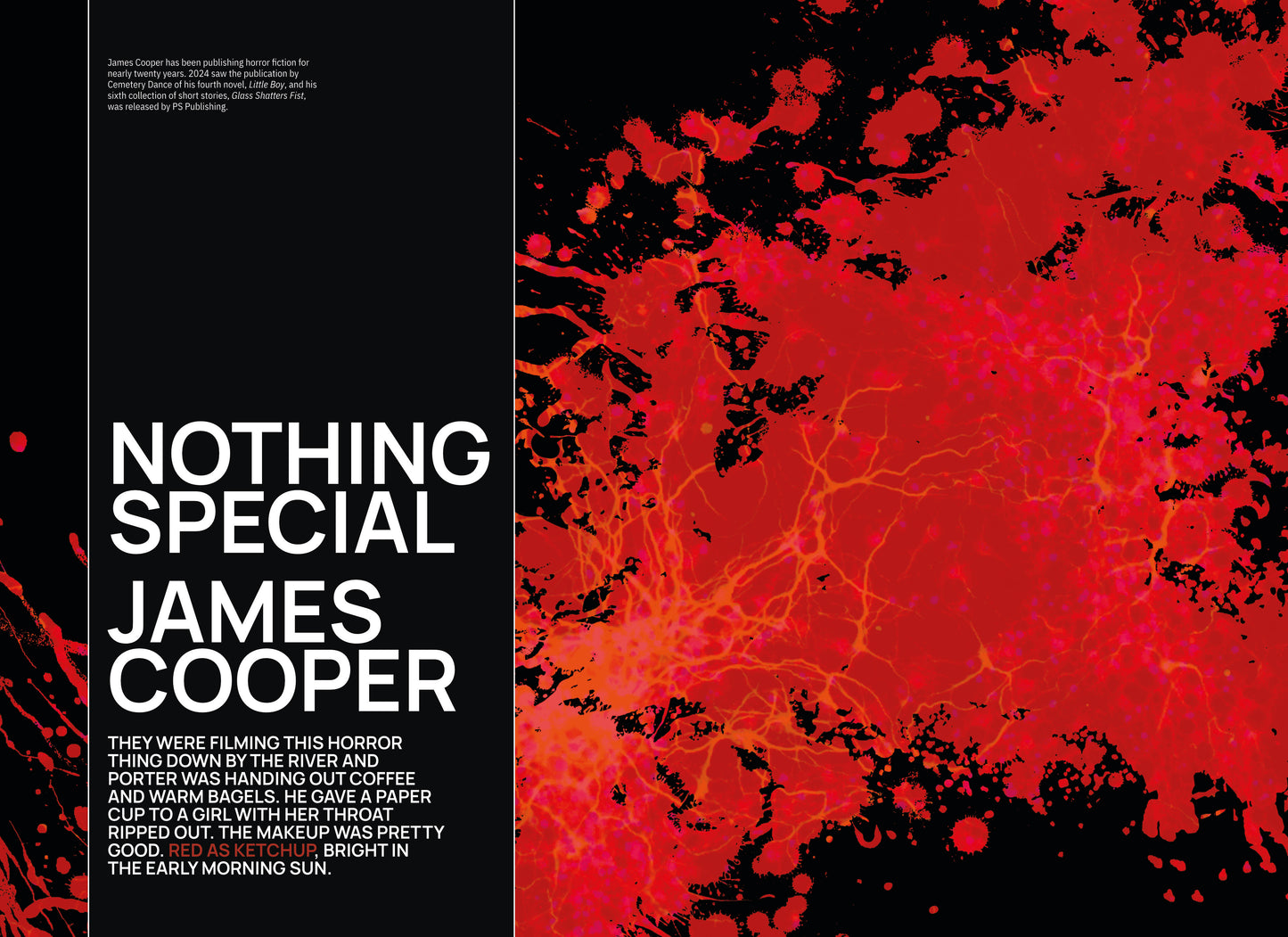 Issue 1